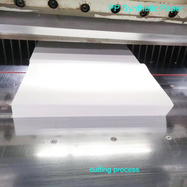 A Laser Printing Synthetic Paper Project For A Partner In The Netherlands